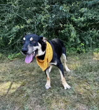 Waylon Outlaw