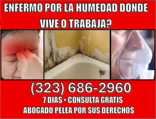 🔥7 DIAS►PROBLEMAS DE HUMEDAD?