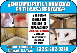█►🎯24HRS►7DIAS📞►ACCIDENTES⚖️