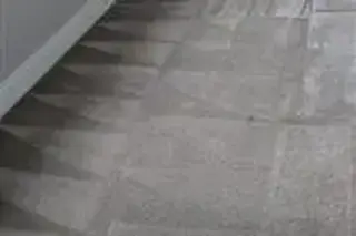 Limpieza De Alfombras.