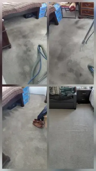 Carpet Cleaning