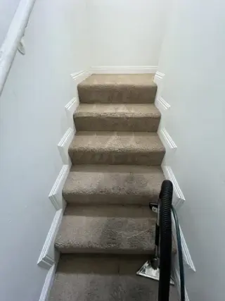 Carpet Cleaning