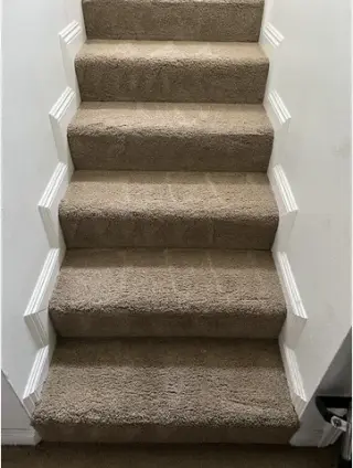 Carpet Cleaning