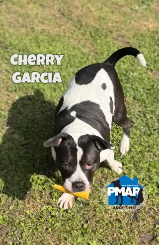 Cherry Garcia