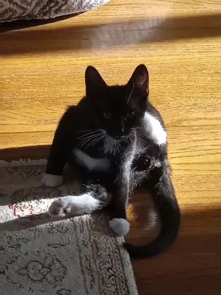 Reuben
