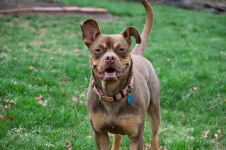 Twix