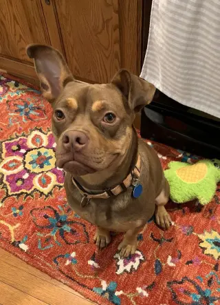 Twix