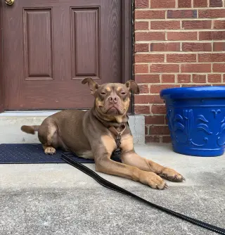 Twix