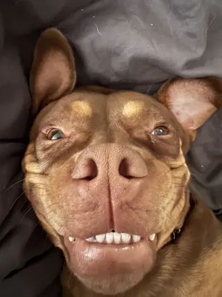 Twix