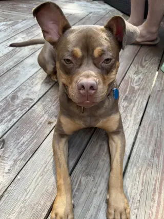 Twix