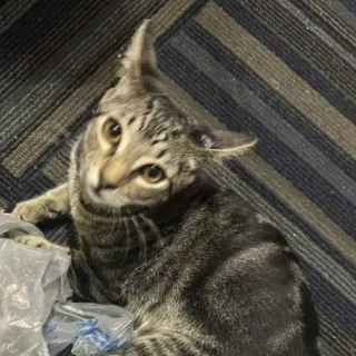 Usher #all-time-playgirl