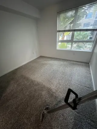 Lavado de Alfombras