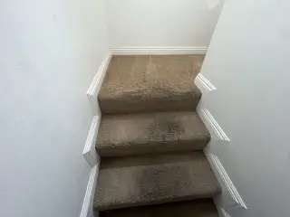 Lavado de Alfombras