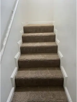 Lavado de Alfombras