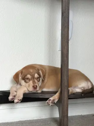 Copper