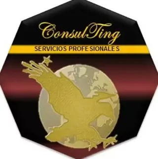 Consultoría S2