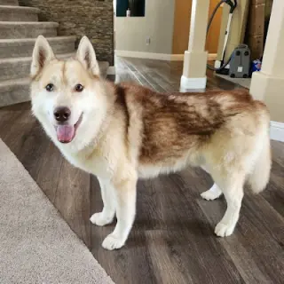 George