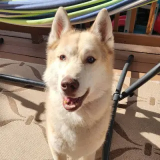 George