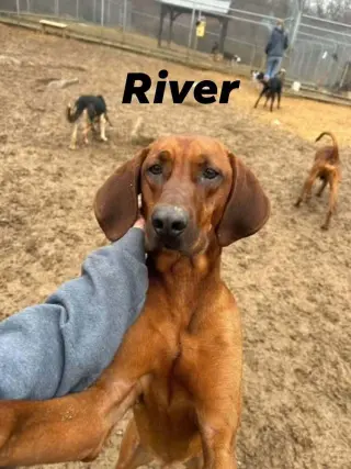 River
