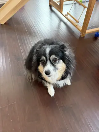 Rosie