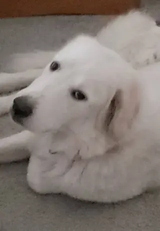 Keira