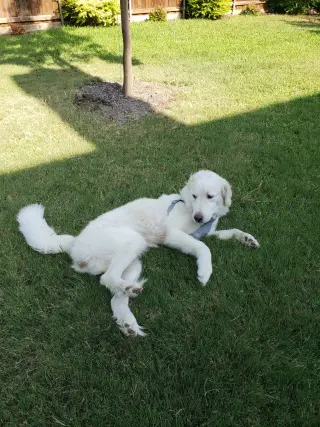 Keira