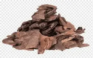 podador de arboles jardineria