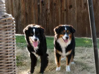 Rayna & Bruno