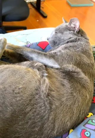roscoe