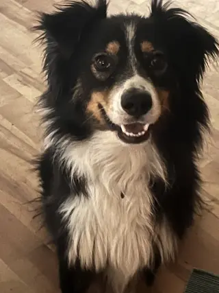 Chevy