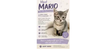 Mario