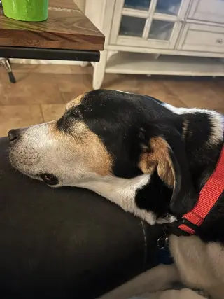 LUKE #3