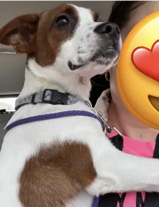 Lil Belle