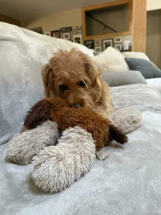 Winnie - M
