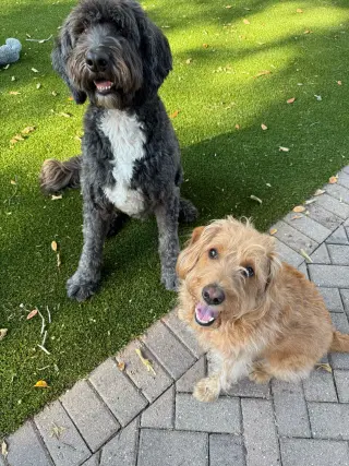 Winnie - M