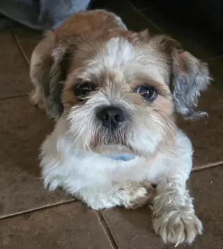 Barry