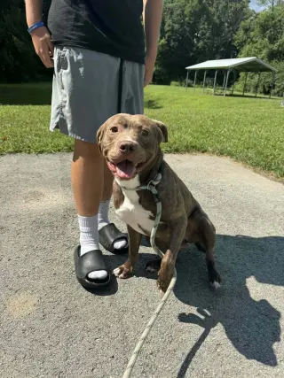Copper