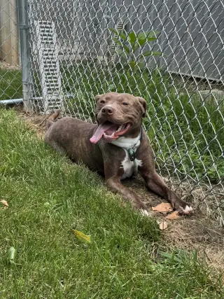 Copper