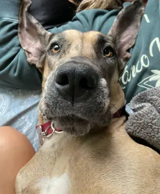 Lucy