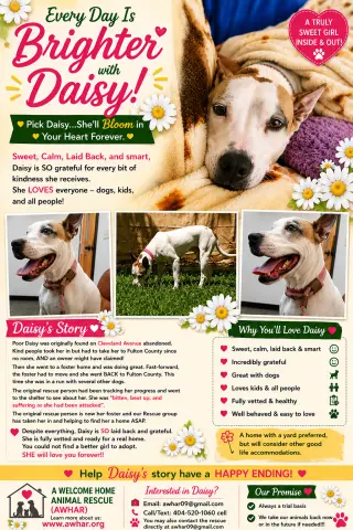 Daisy - She'll Bloom in Your Heart Forever