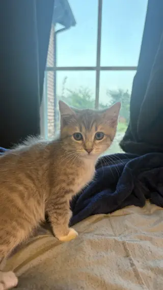 Stormy