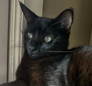 Jerry