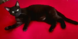 Jerry