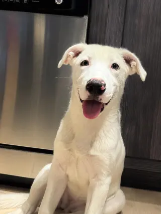 Ella