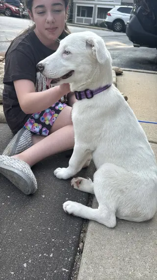 Ella