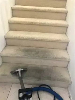 💥Limpieza de Carpetas_Sofa💥