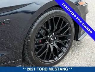 Ford Mustang 2021 GT Premium 2 puertas Fastback