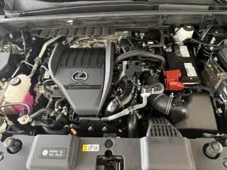 Lexus NX 350 2024 AWD F SPORT Handling 4 puertas Crossover