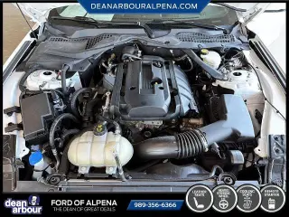 Ford Mustang 2020 EcoBoost 2dr Convertible