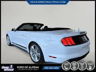 Ford Mustang 2020 EcoBoost 2dr Convertible